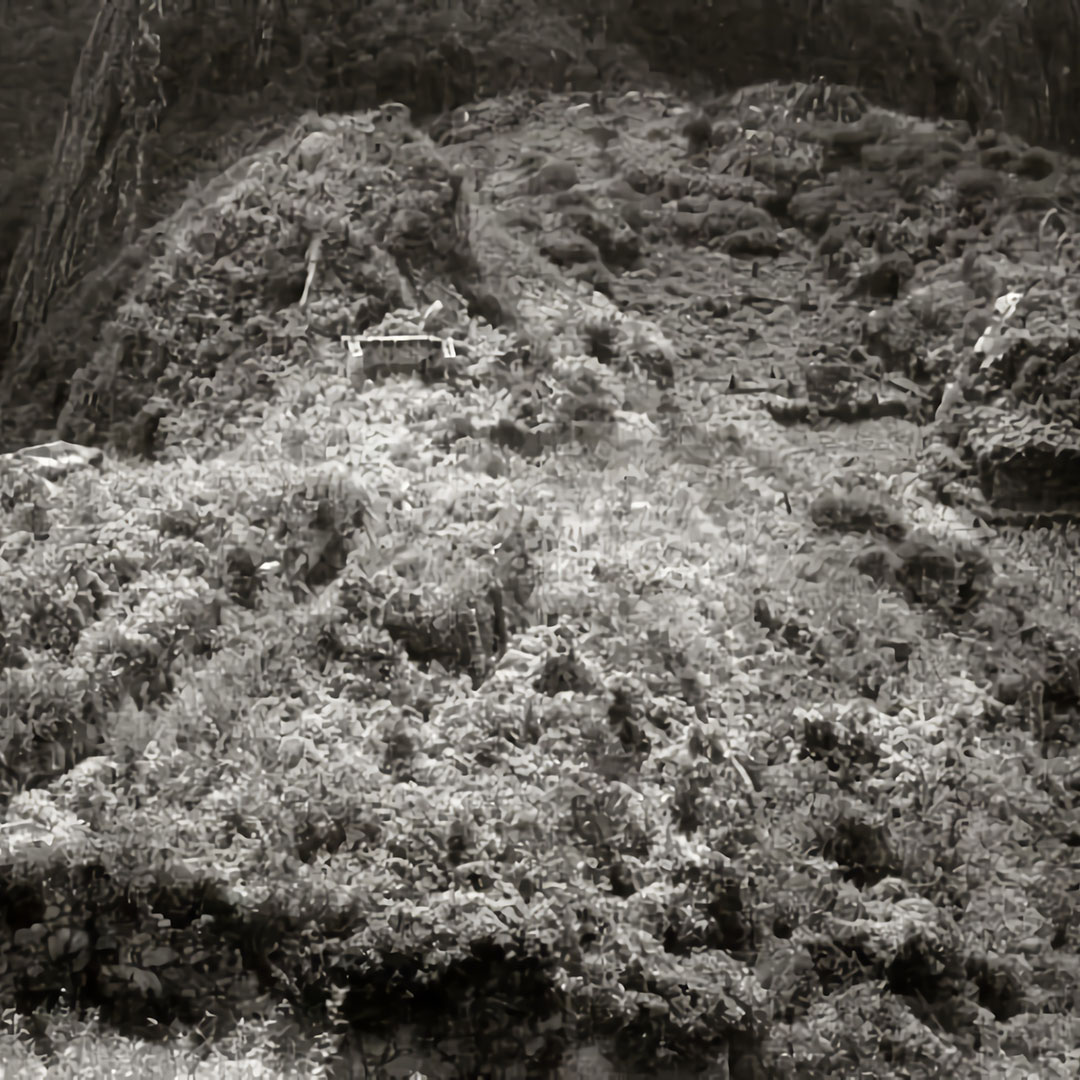 沉睡在叢林的印加遺跡－馬丘比丘
